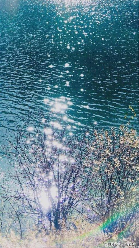 春雨直播app