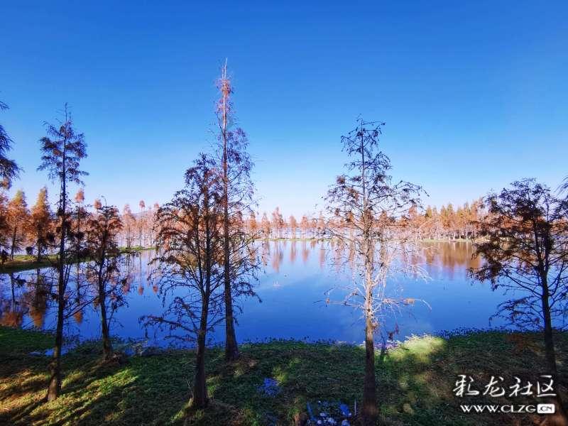 来个懂行的说说这是什么车!!!!!-全方位答疑平台