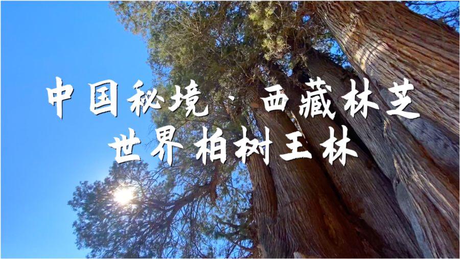 帝国：全面战争
