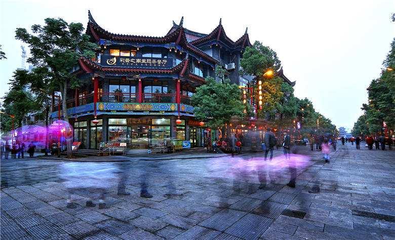 拿破仑：全面战争