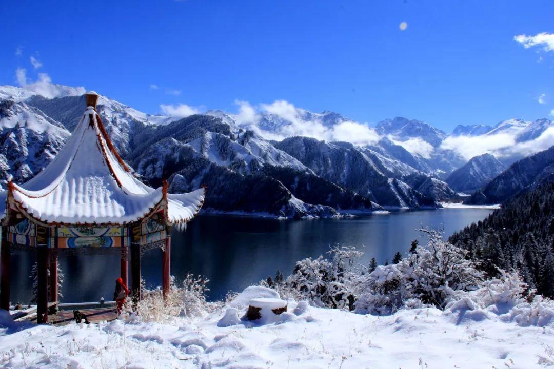 酷狗音乐如何看广告免费听-快速、准确的知识问答平台